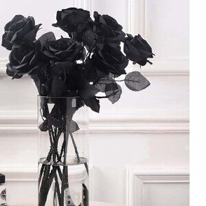 12 PCS Artificial Black Roses – Faux Silk Long Stem Roses for Halloween, Gothic
